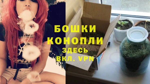 дживик Новый Уренгой